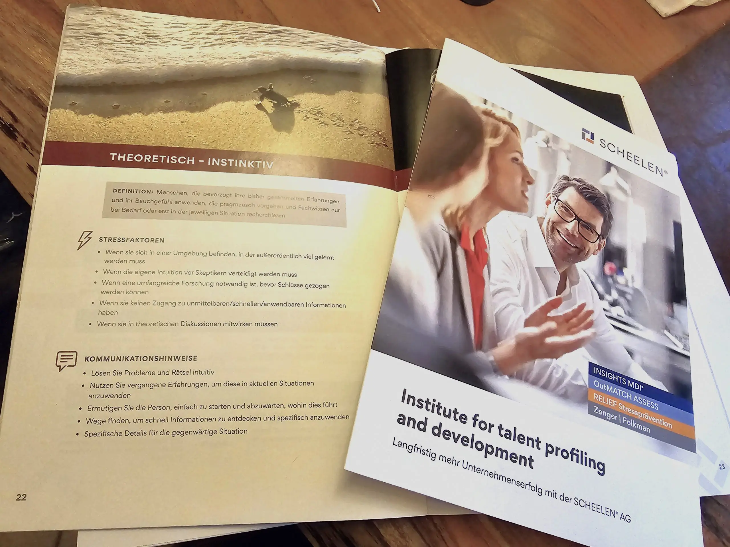 Insights Potenzial Analyse