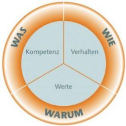 Insights-MDI-OSBELT-250x249