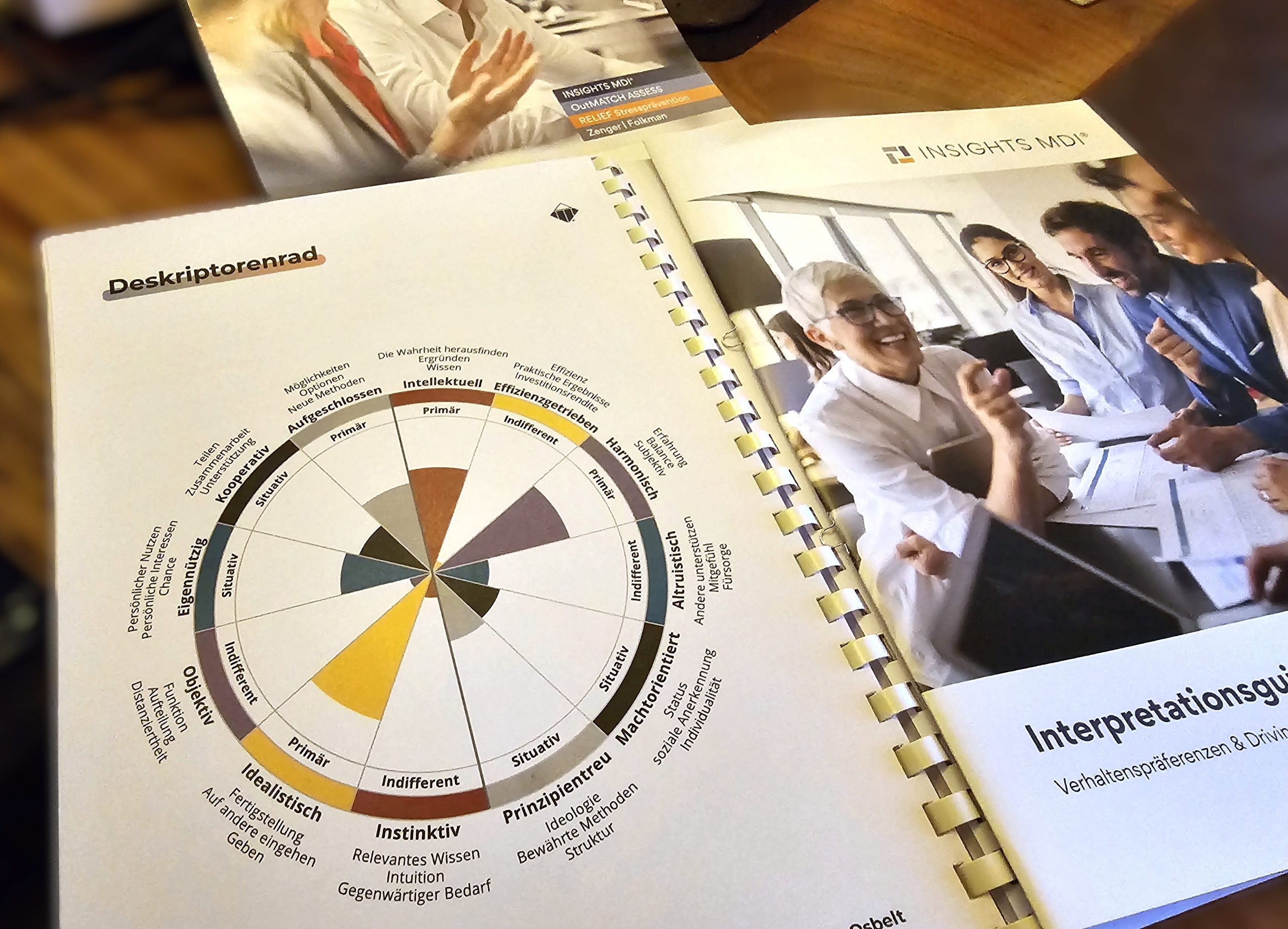 Insights Potenzial Analyse